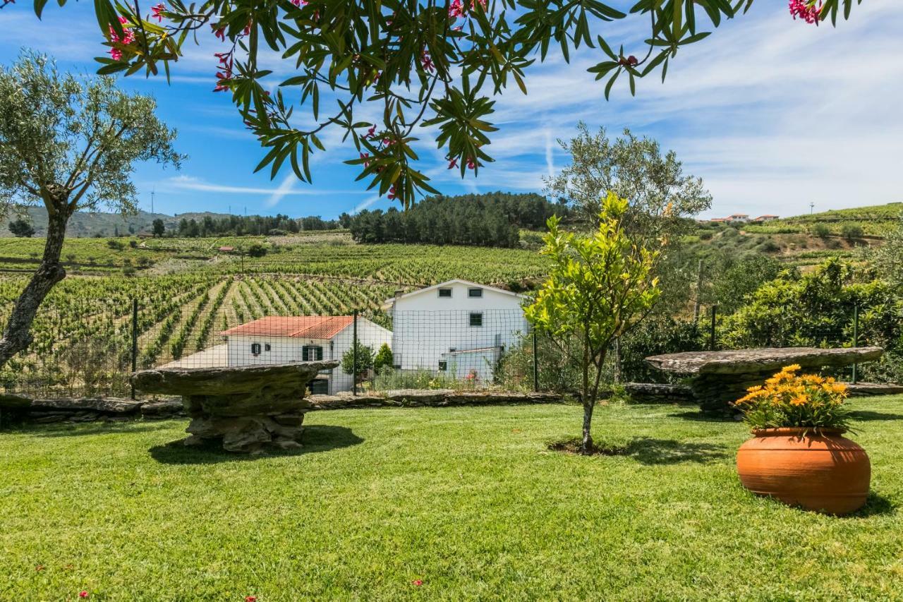 הוילה טבואקו Quinta Da Padrela Winery House מראה חיצוני תמונה